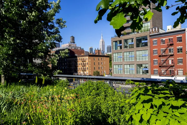 Highline New York Green — Stockfoto