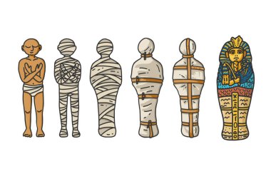 A six step process showing Mummy creation. clipart