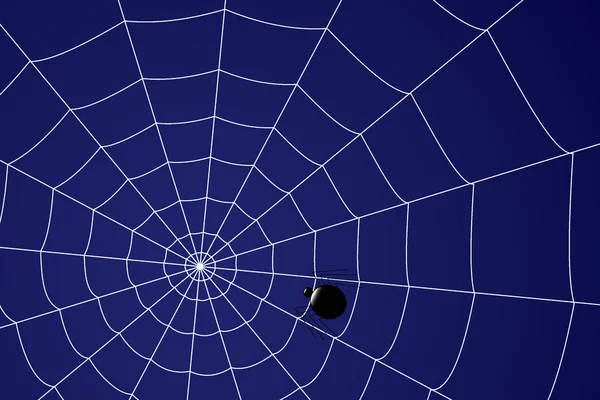 Creepy spider web with black spiders on a blue background