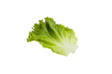 Beyaz arkaplanda taze marul izole edildi