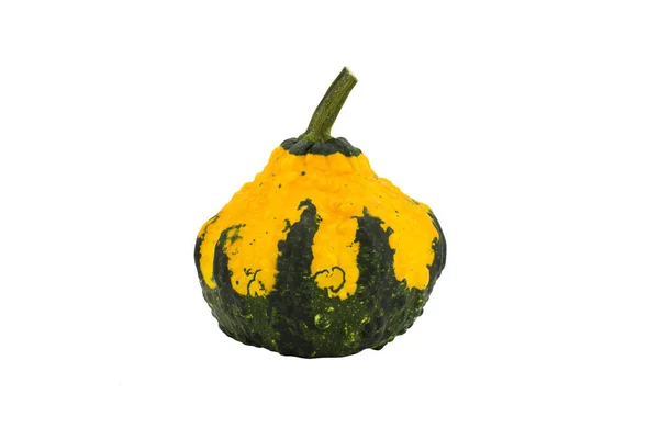 Pequeña Calabaza Amarilla Decorativa Aislada Sobre Fondo Blanco — Foto de Stock