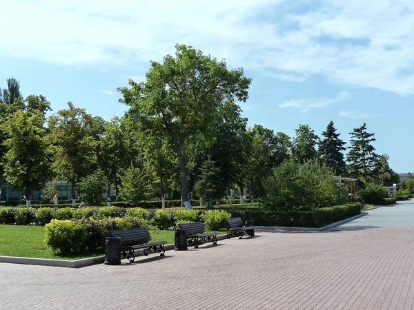 Zonnige Dag Pittoreske Dijk Van Samara Well Groomed Groene Dijk — Stockfoto