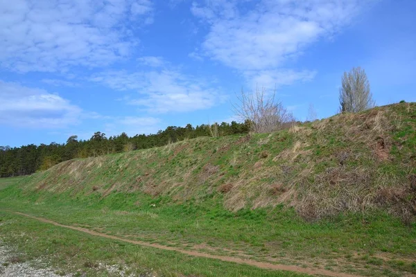 Bir Yol Boyunca Yumuşak Tepe Taze Yeşillik Ile Kaplıdır Genel — Stok fotoğraf
