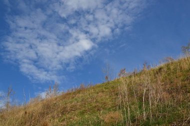 Mavi gökyüzünün altında tepenin yamacında / otlar, ölü odun ve bahar ilk yeşil çim yamaca