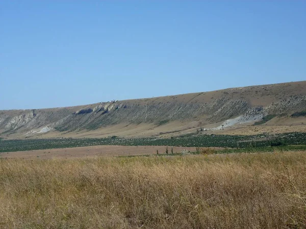 Viñedos Crimea Medio Mesetas Secas Vista Del Valle Entre Las — Foto de Stock