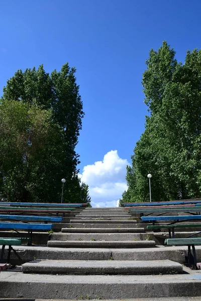 Treppe Des Offenen Amphitheaters Umgeben Von Hohen Pappeln Alte Stufen — Stockfoto