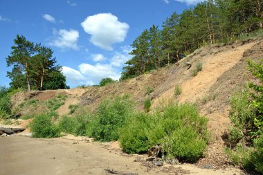 Kum üzerinde büyümüş çalılıklar ile Dik orman kıyısı