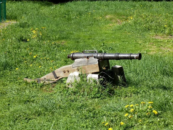 绿色草地上的火炮 — 图库照片
