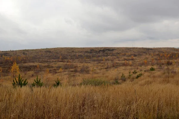 Une Triste Vue Des Friches Sans Arbres Sous Ciel Automne — Photo