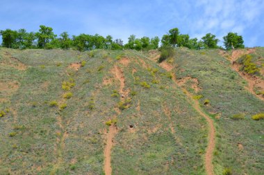 Yüksek sarp bir bankanın aşırı gelişmiş kumlu yamacı
