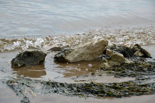 Felsen Einem Sandstrand Von Wellen Angespült Und Von Algen Umgeben — Stockfoto