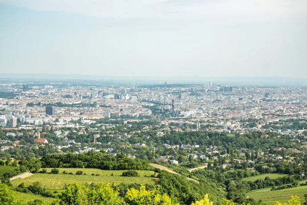 Viyana, Avusturya, başkenti Kahlenberg bir dağ şehrin kuzeyinde görüldü