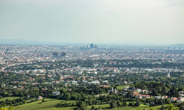 Viyana, Avusturya, başkenti Kahlenberg bir dağ şehrin kuzeyinde görüldü