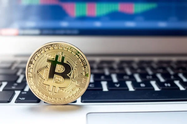 Fiziksel Bitcoin dizüstü bilgisayara grafiklerle ekranda yerleştirilir