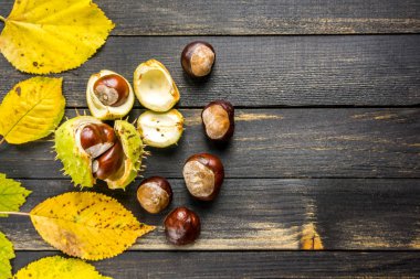 Sonbahar dekorasyon düz yatıyordu