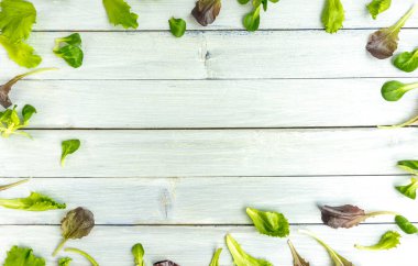Taze salata yaprakları bir çerçeve yaratıyor. Beyaz ahşap masada