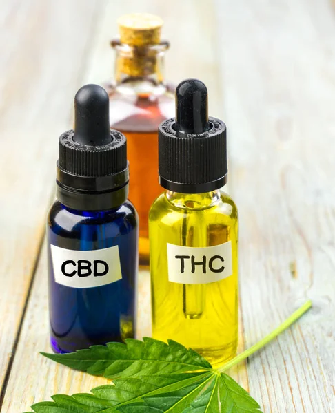 Cannabis medicinal com THC, CBD e extratos de óleo de semente de cânhamo — Fotografia de Stock