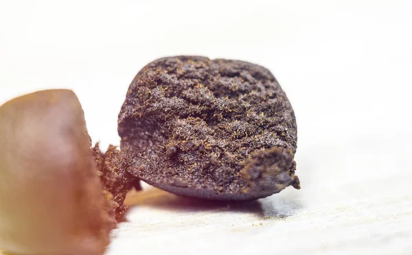 Macro di estratto di polline di Cannabis hash — Foto Stock