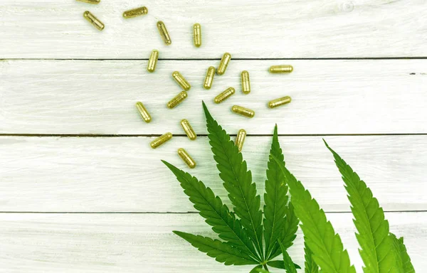 CBD pills. Group of clear CBD Cannabidiol capsules on bright wooden backdrop with hemp leafs