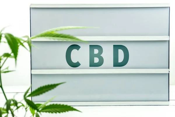 Weißer Leuchtkasten mit den Buchstaben cbd und Cannabispflanze davor — Stockfoto