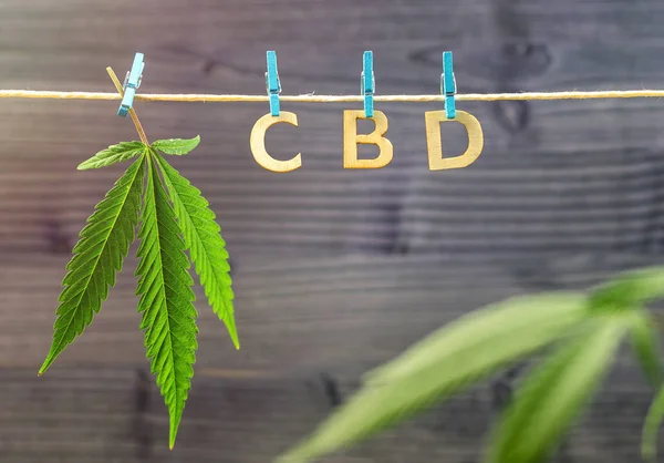 Lettres en bois CBD accroché à une corde de chanvre et à une feuille de cannabis — Photo