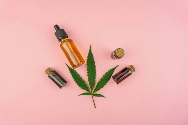 Various bottles with Full spectrum Cannabidiol CBD oils and Cannabis leaf on pastel pink