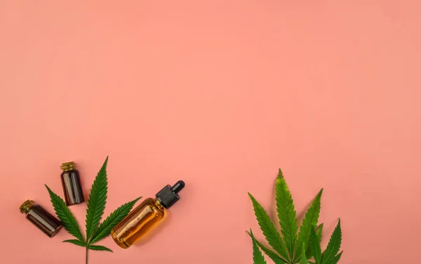 Various bottles with Full spectrum Cannabidiol CBD oils and Cannabis leaf on pastel pink with copy space