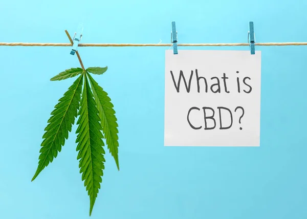 Cannabis folha e papel escrita O que é CBD? canabidiol pendurado na corda de cânhamo contra azul — Fotografia de Stock