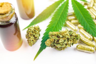 Cbd hapları, yağlar ve Kenevir yaprağı ile Esrar çiçek tomurcukları yakın
