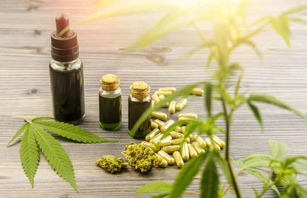 Flessen met cannabis CBD oliën, bloemknoppen en pillen met hennepplant — Stockfoto