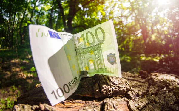 Papiergeld für abgeschnittenen Baumstamm, Entwaldungskonzept Weitwinkel — Stockfoto