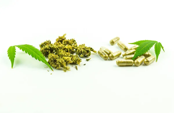 Pastillas de CBD capullos de flores y hojas de cannabis aisladas — Foto de Stock