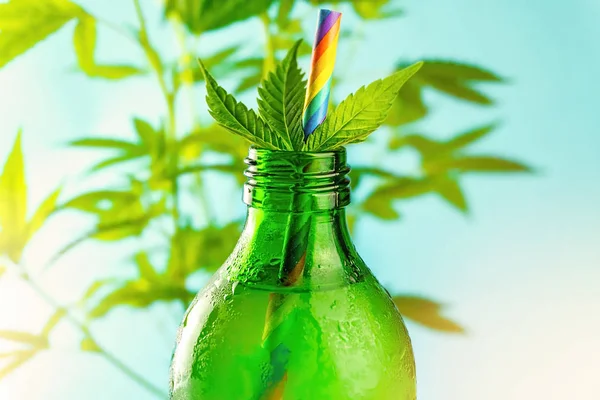 Green glass bottle with Cannabis CBD infused Water lemonade against Cannabis plant — Stock Photo, Image