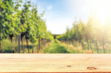 Asma tepeye karşı masa üstü şablonu