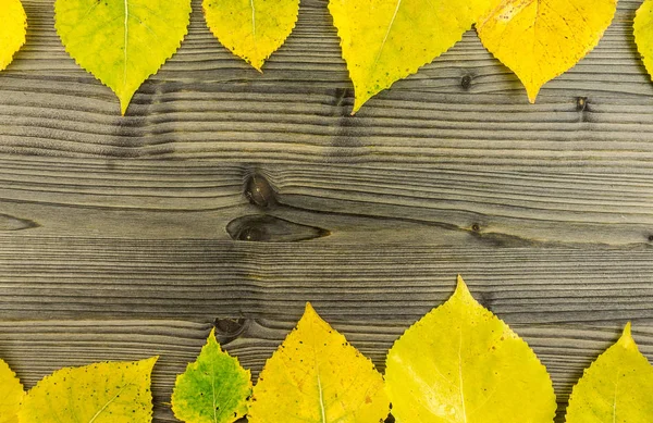 Coloridas hojas amarillas de otoño sobre una mesa de madera formando un marco — Foto de Stock