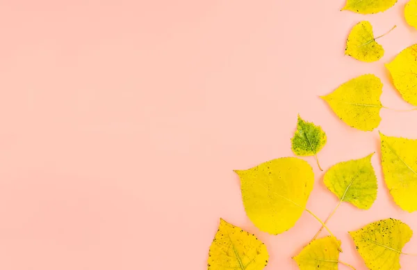 Surtido de coloridas hojas de otoño sobre fondo rosa pastel — Foto de Stock