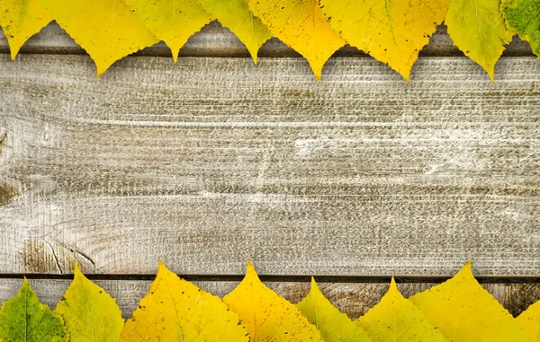 Coloridas hojas amarillas de otoño sobre una mesa de madera rústica formando un marco — Foto de Stock