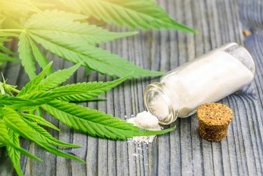 Cbd Cannabidiol kristalleri cam kapta izole. Esrar yaprakları ile