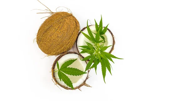 Vue du dessus de noix de coco craquelée avec des feuilles de cannabis sur le dessus, isolée — Photo