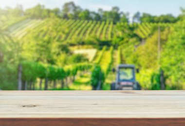 Üzüm bağına karşı boş tablo üst şablonu, reklam konsepti