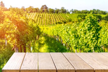 Üzüm bağına karşı karatahta şablonu olan masa üstü, reklam konsepti