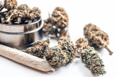 Beyaz, çiçek tomurcukları öğütücü, tıbbi veya eğlence amaçlı marihuana konsepti
