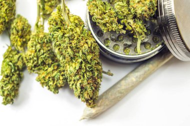 Beyaz, çiçek tomurcukları öğütücü, tıbbi veya eğlence amaçlı marihuana konsepti