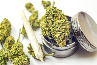 Beyaz, çiçek tomurcukları öğütücü, tıbbi veya eğlence amaçlı marihuana konsepti