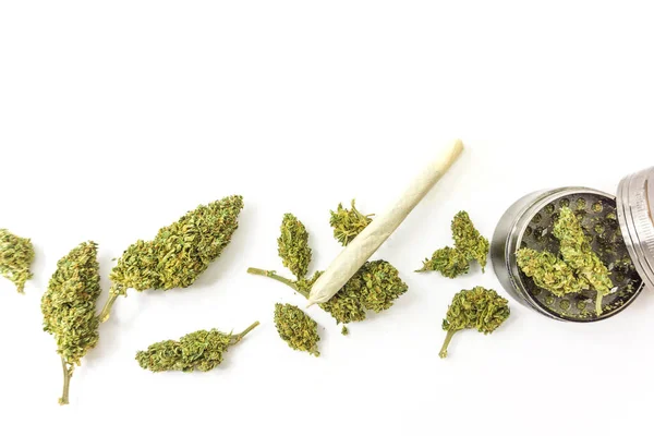 Esenciales Comunes Blanco Flor Brotes Papel Filtro Amoladora Concepto Marihuana — Foto de Stock