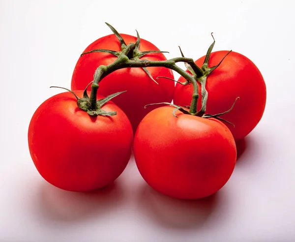 Tomates Suculentos Molhados Videira — Fotografia de Stock