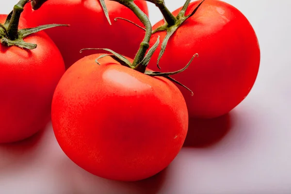 Wet Juicy Tomatos Vine — Stock Photo, Image