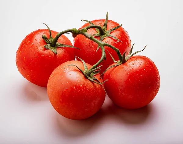 Tomates Suculentos Molhados Videira — Fotografia de Stock