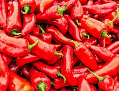 Piyasada satılık bir yığın kırmızı poblano biberi.