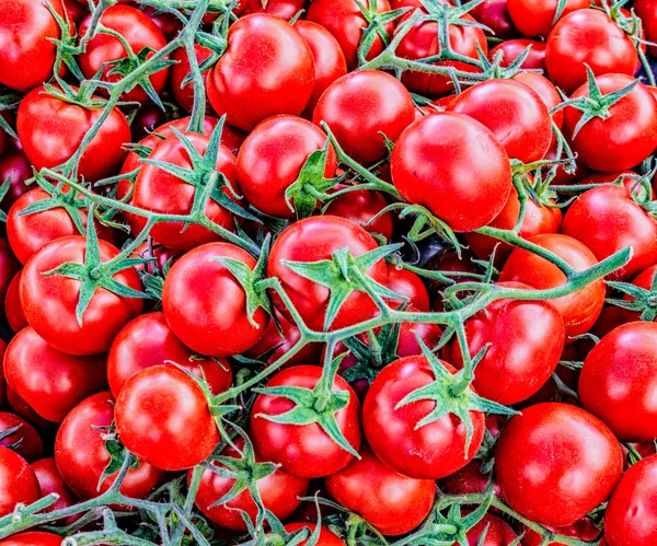 Tomates Para Venta Vid Mercado — Foto de Stock